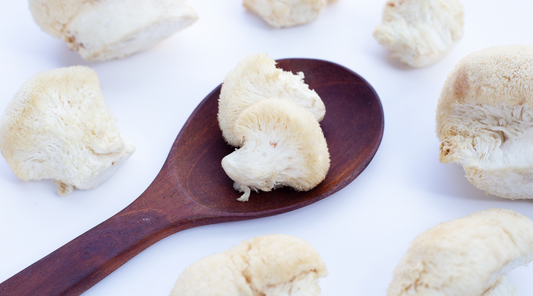 Exploring the Dynamic Duo of Lion's Mane and Coffee