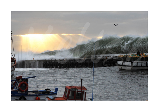 Kalk Bay Harbour by Brenton Geach